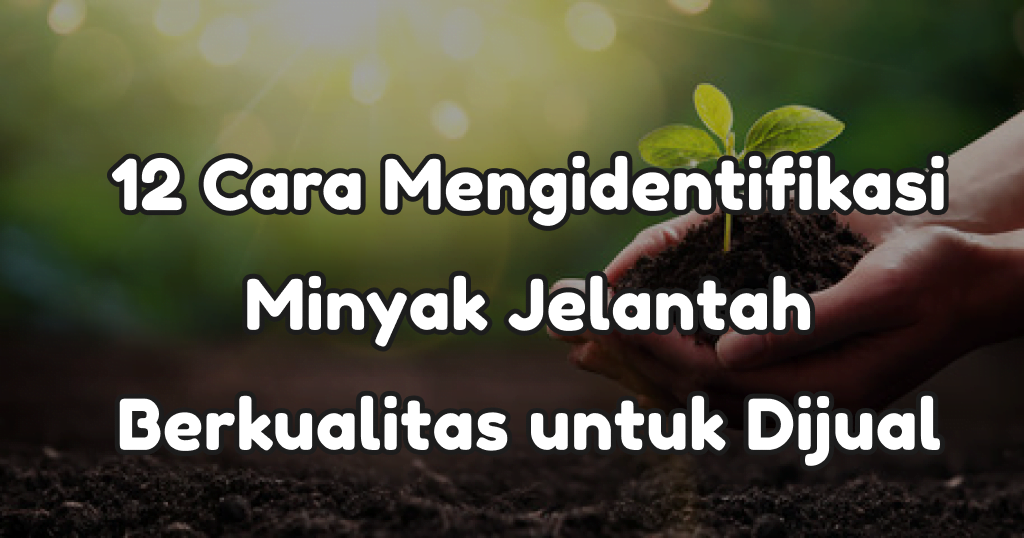 12 Cara Mengidentifikasi Minyak Jelantah Berkualitas untuk Dijual
