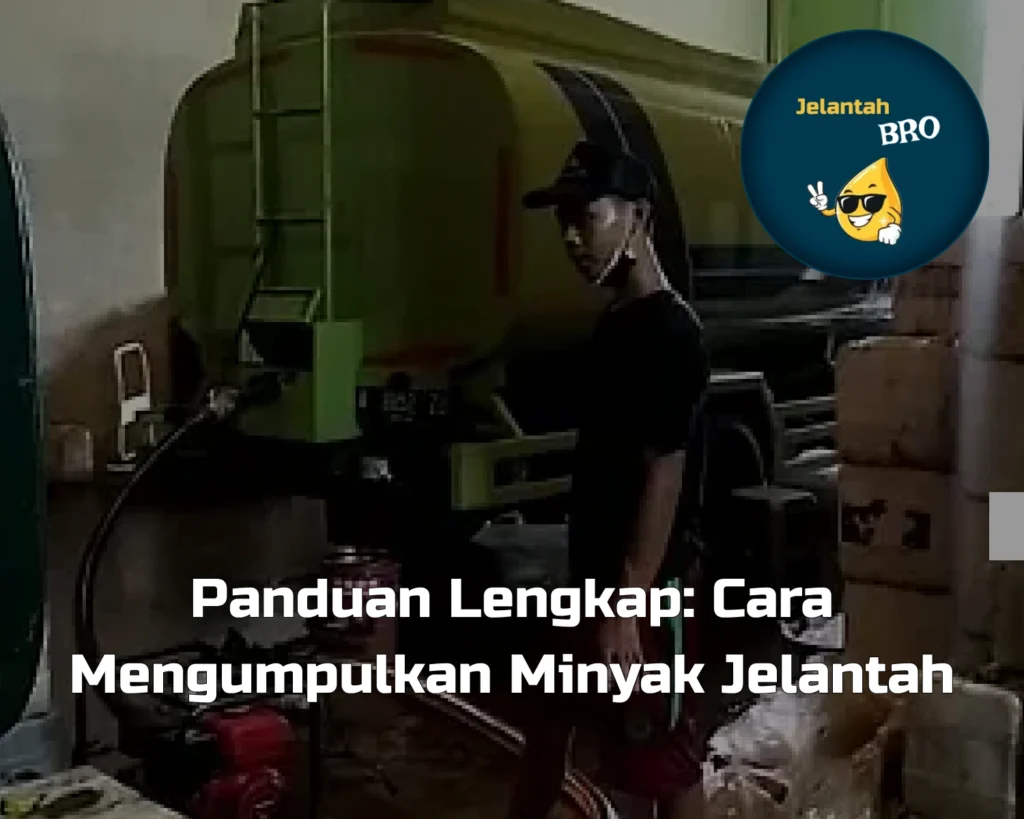 Panduan Lengkap: Cara Mengumpulkan Minyak Jelantah